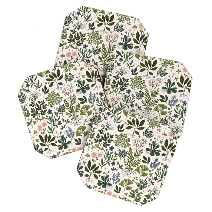 Herbarium ~ vintage inspired botanical art print ~ white Coaster Gallery Image 1