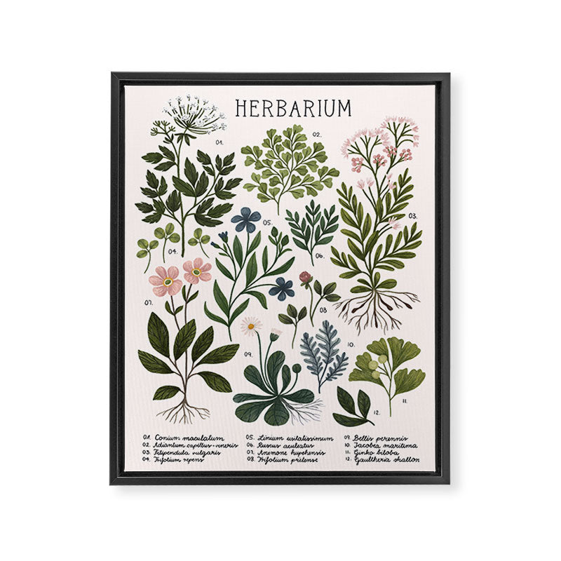 Herbarium ~ vintage inspired botanical art print ~ white Framed Canvas Print Gallery Image 6