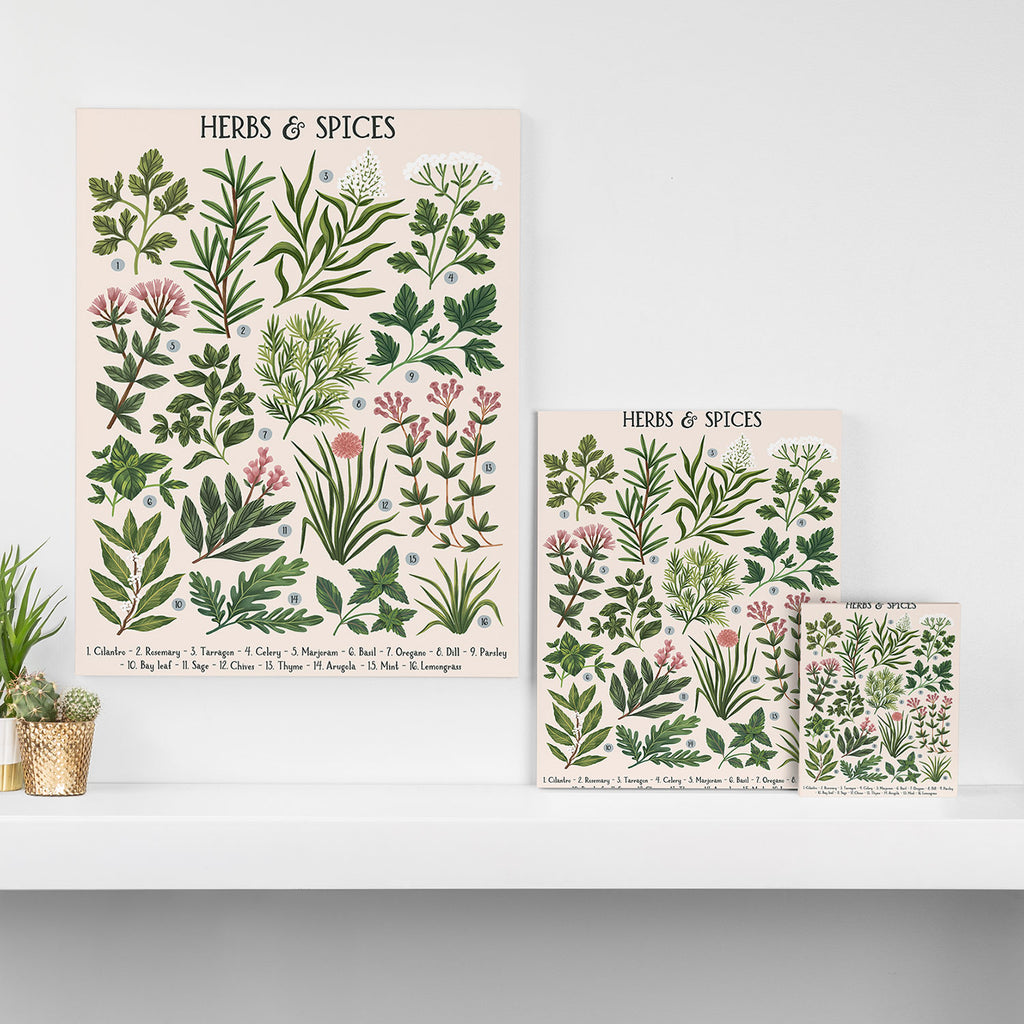 Herbs & Spices - beige Canvas Print Gallery Image 3