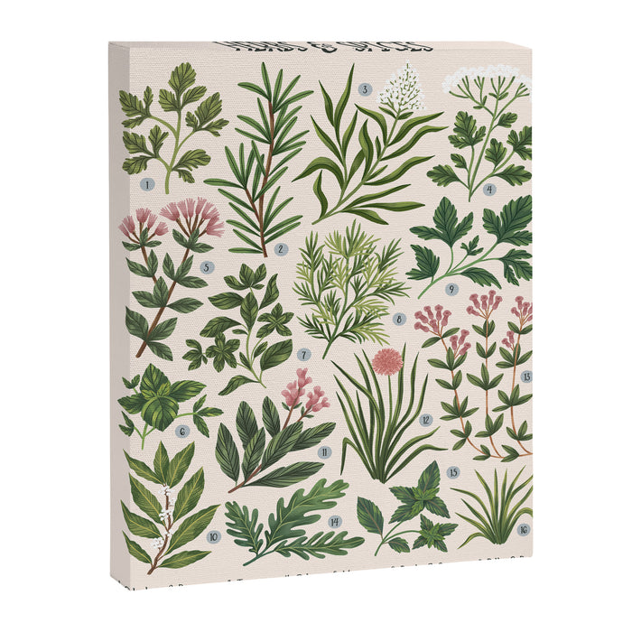 Herbs & Spices - beige Canvas Print Gallery Image 1