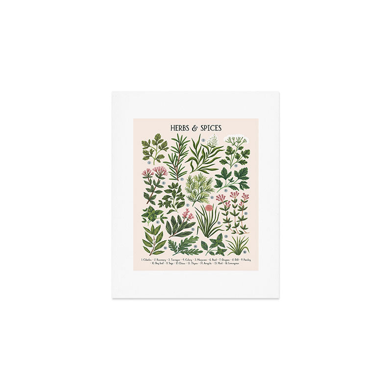 Herbs & Spices - beige Art Print Gallery Image 1