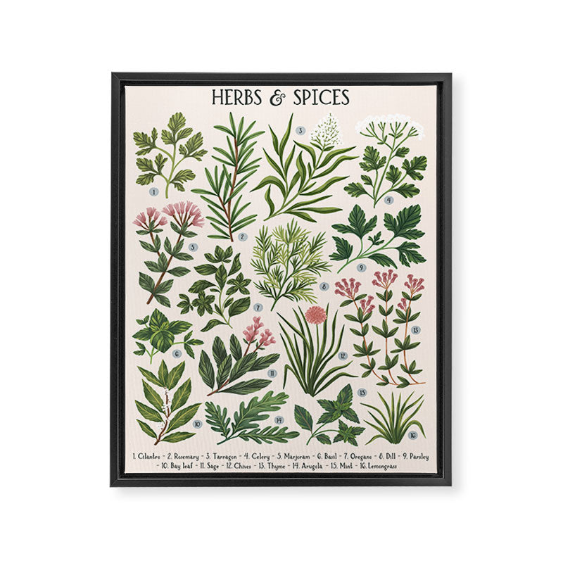 Herbs & Spices - beige Framed Canvas Print Gallery Image 1
