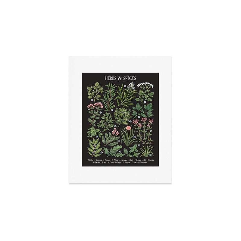Herbs & Spices - dark Art Print Gallery Image 1