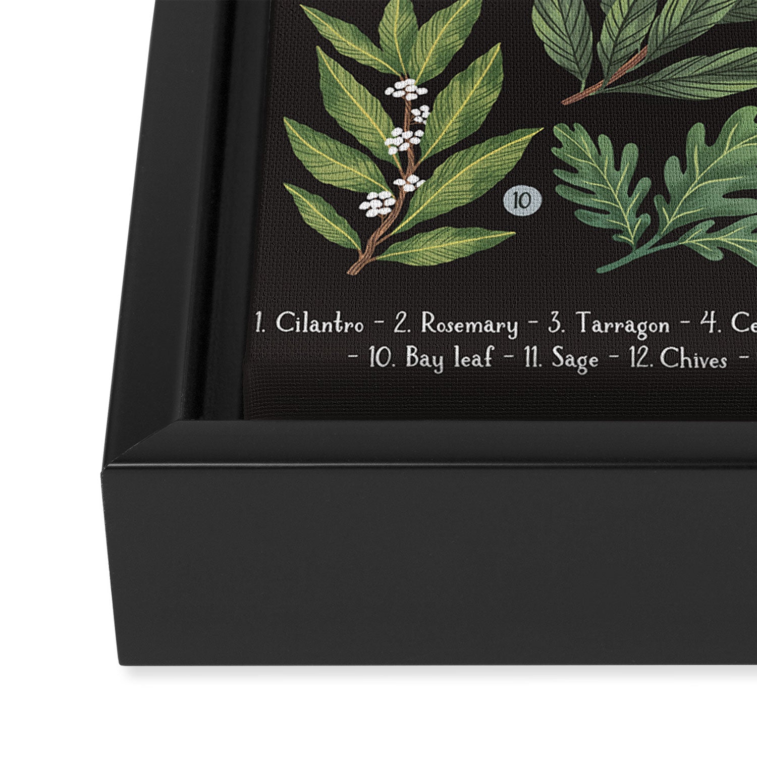 Herbs & Spices - dark Framed Canvas Print Gallery Image 3