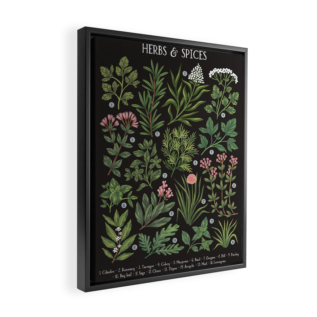 Herbs & Spices - dark Framed Canvas Print Gallery Image 2
