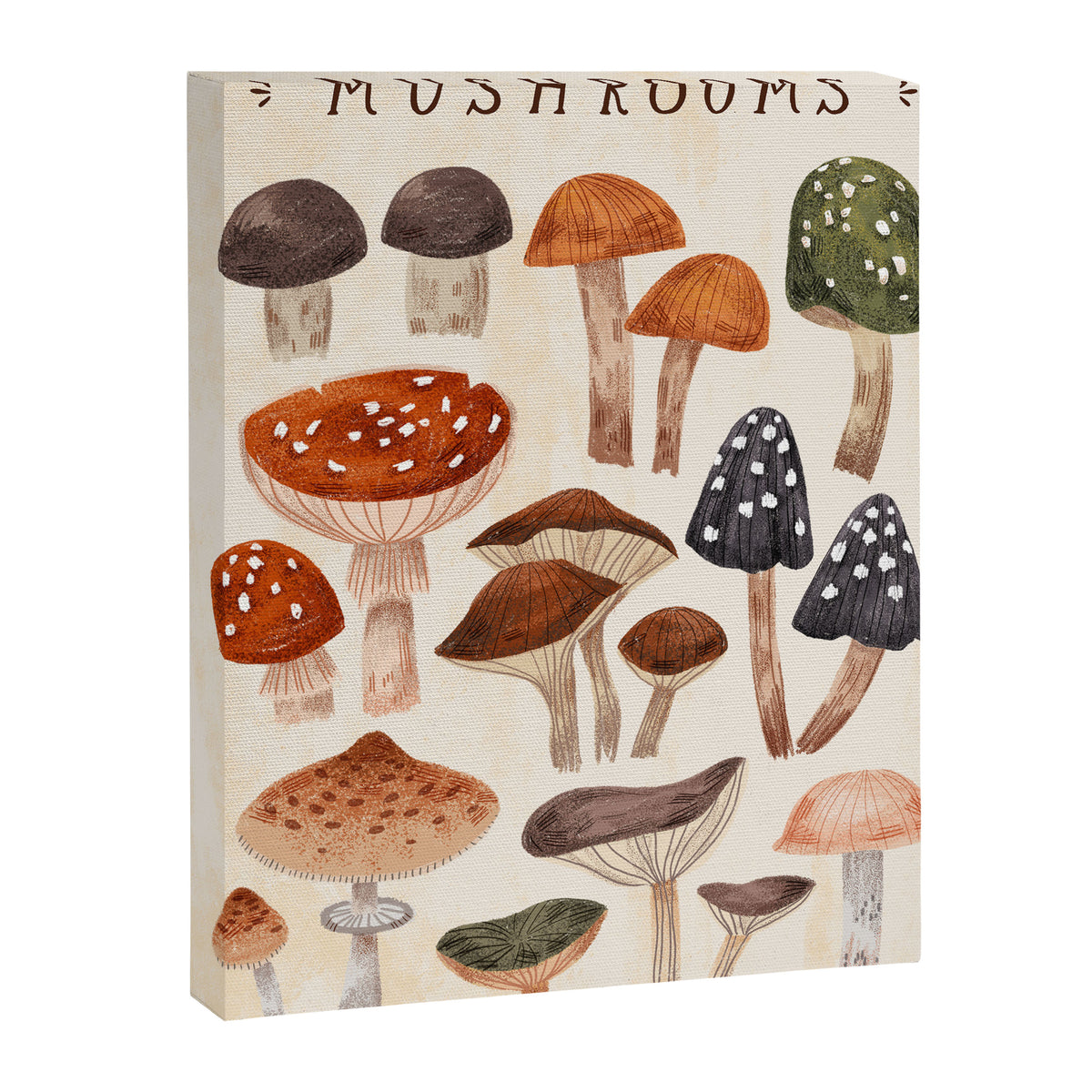 Mushrooms Canvas Print Gallery Image 6