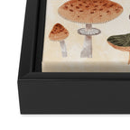 Mushrooms Framed Canvas Print Gallery Image 3