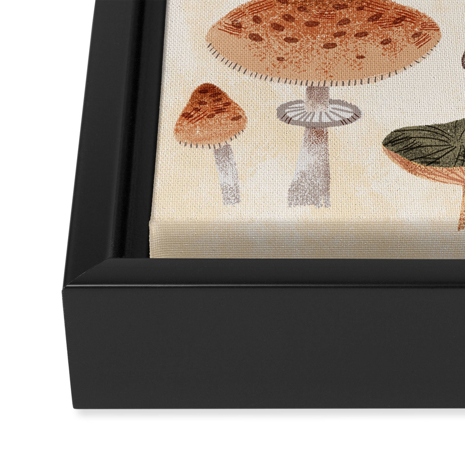 Mushrooms Framed Canvas Print Gallery Image 3