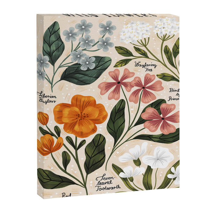 Wild Flowers ~ vol2.  vintage inspired botanical Canvas Print Gallery Image 1