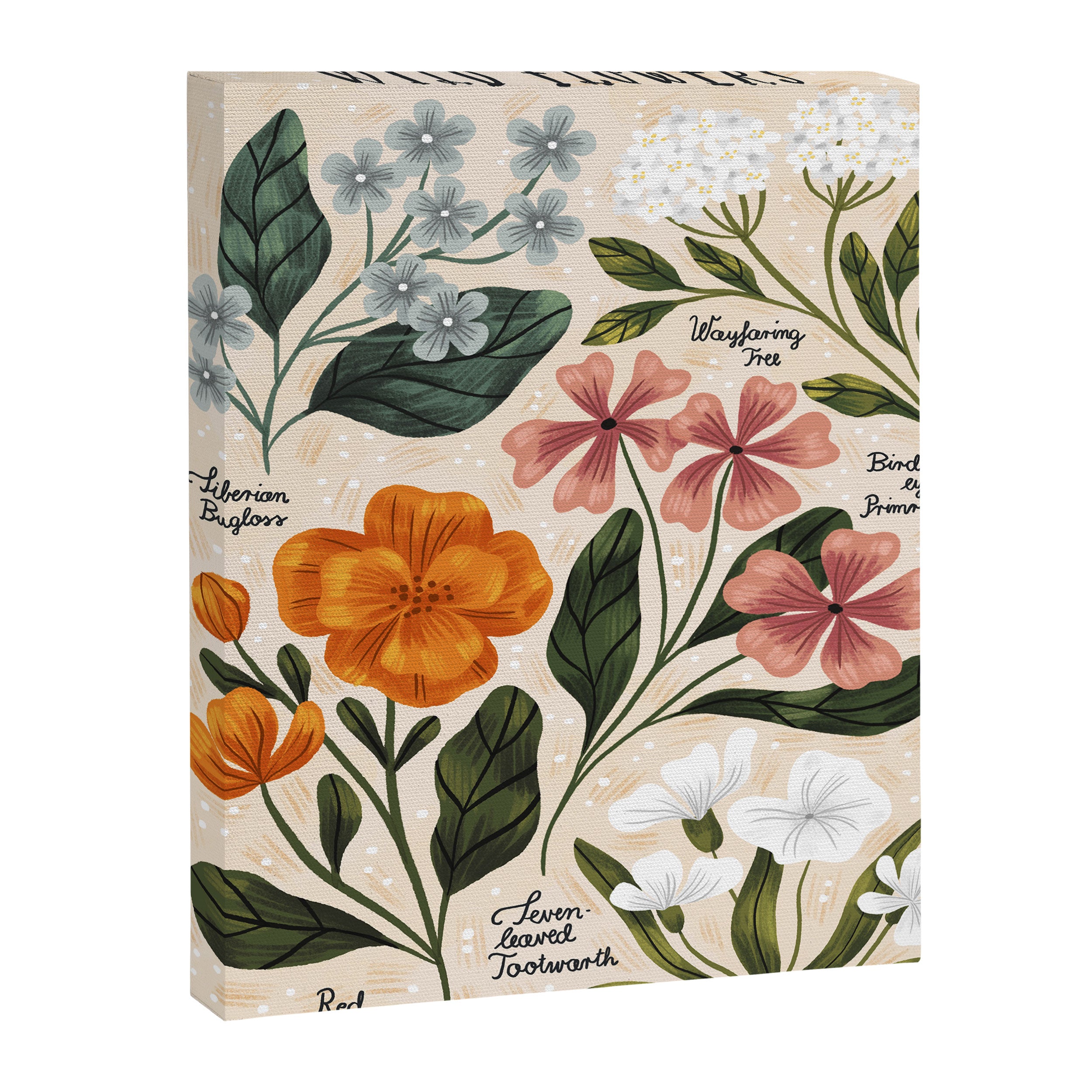 Wild Flowers ~ vol2.  vintage inspired botanical Canvas Print Gallery Image 6