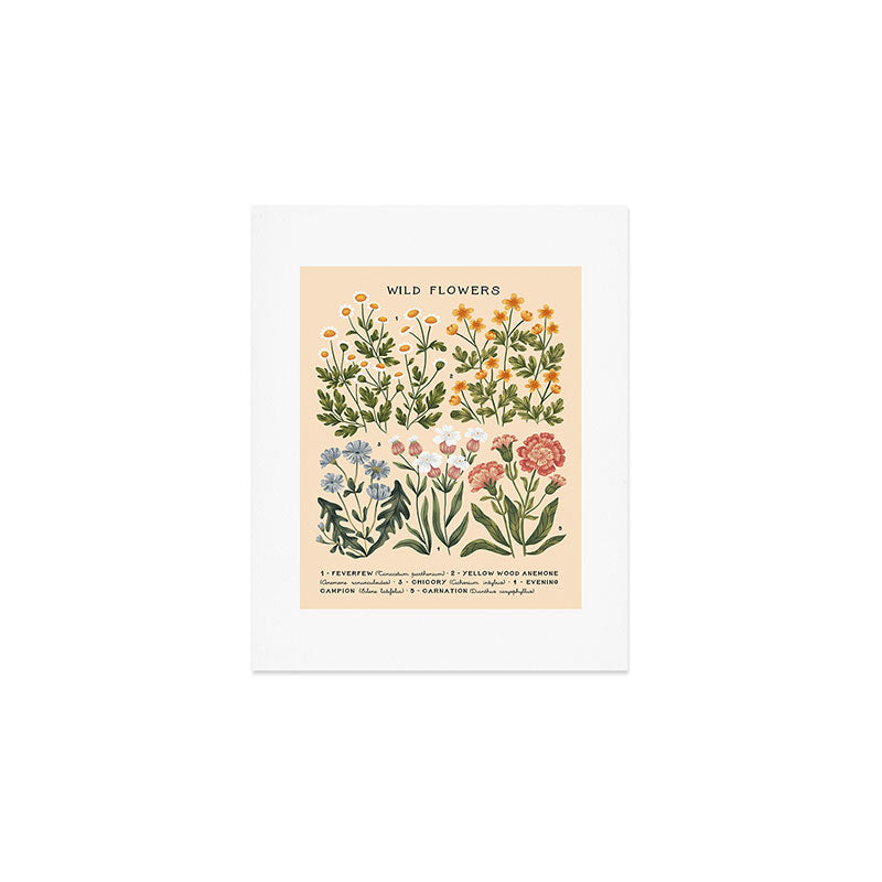 Wild Flowers ~ vol4. ~ light  vintage inspired botanical Art Print Gallery Image 1