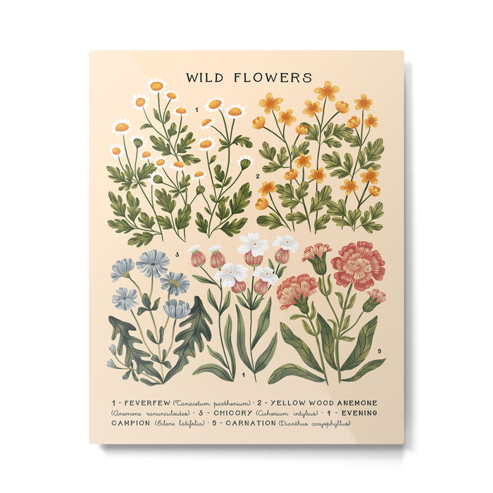 Wild Flowers ~ vol4. ~ light  vintage inspired botanical Metal Print Gallery Image 1