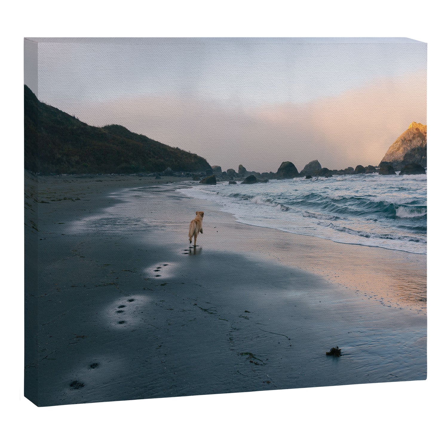 Beachside Enzo Canvas Print Gallery Image 6