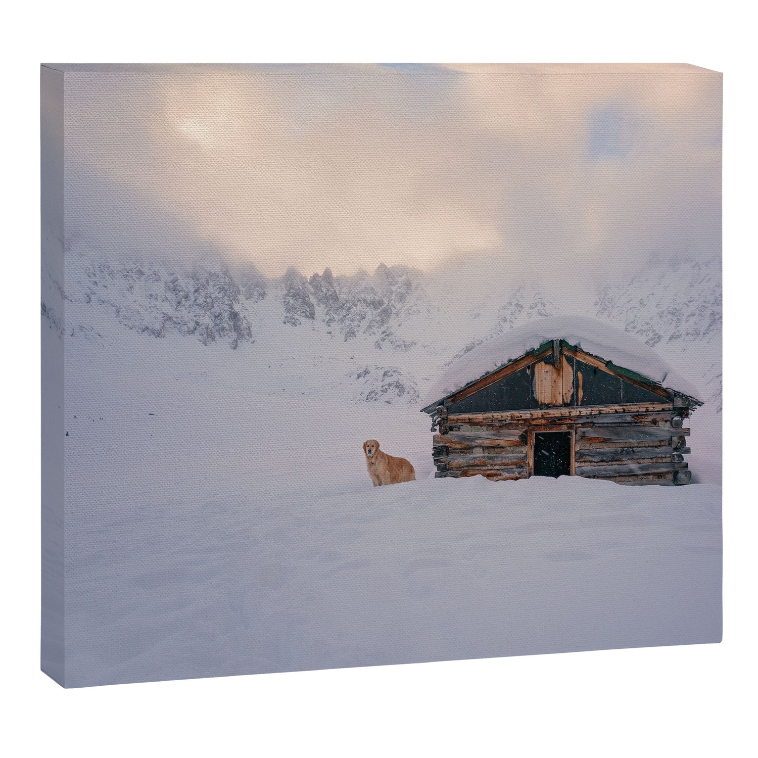 Cabin Life Enzo Canvas Print Gallery Image 6