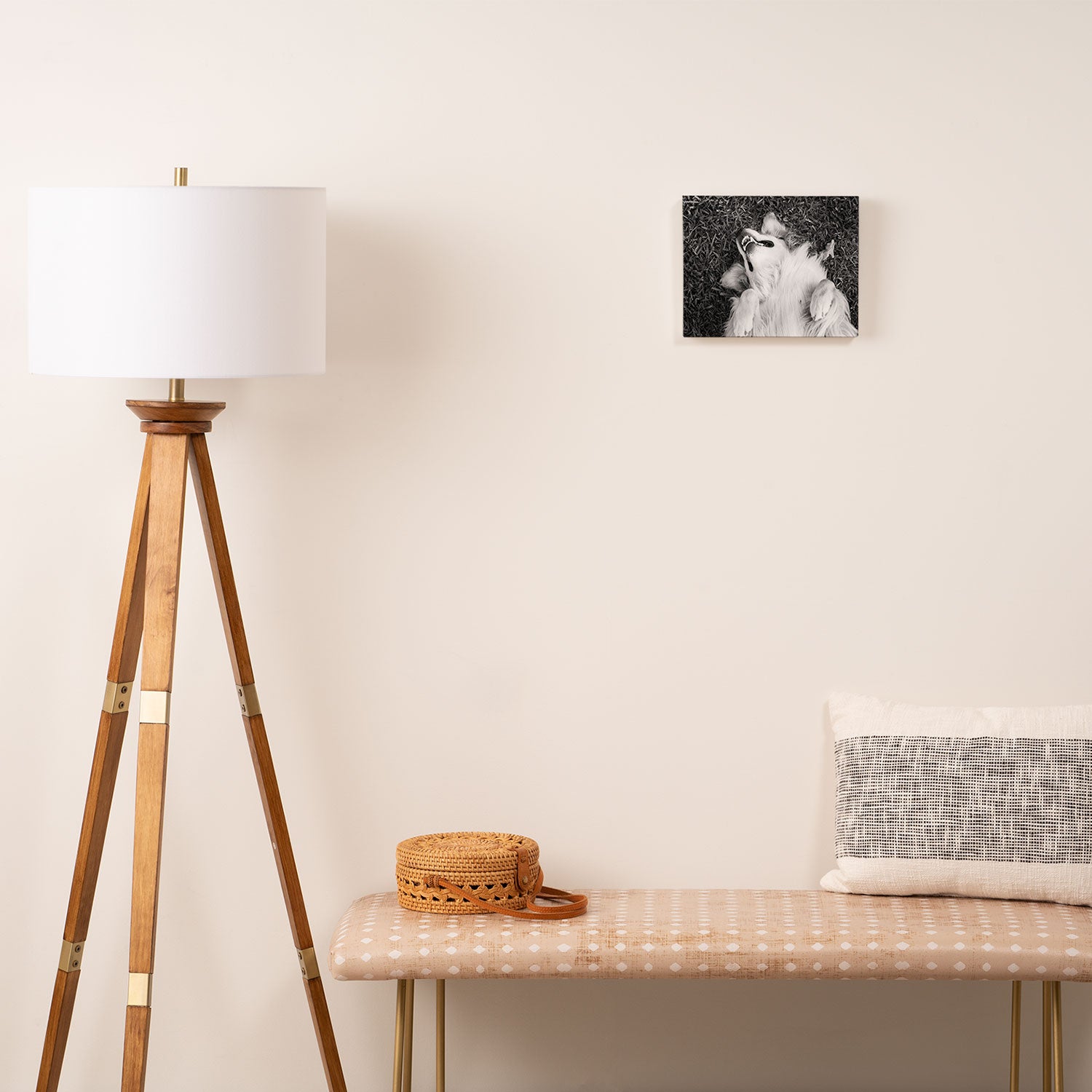 Goofy Enzo Canvas Print Gallery Image 2