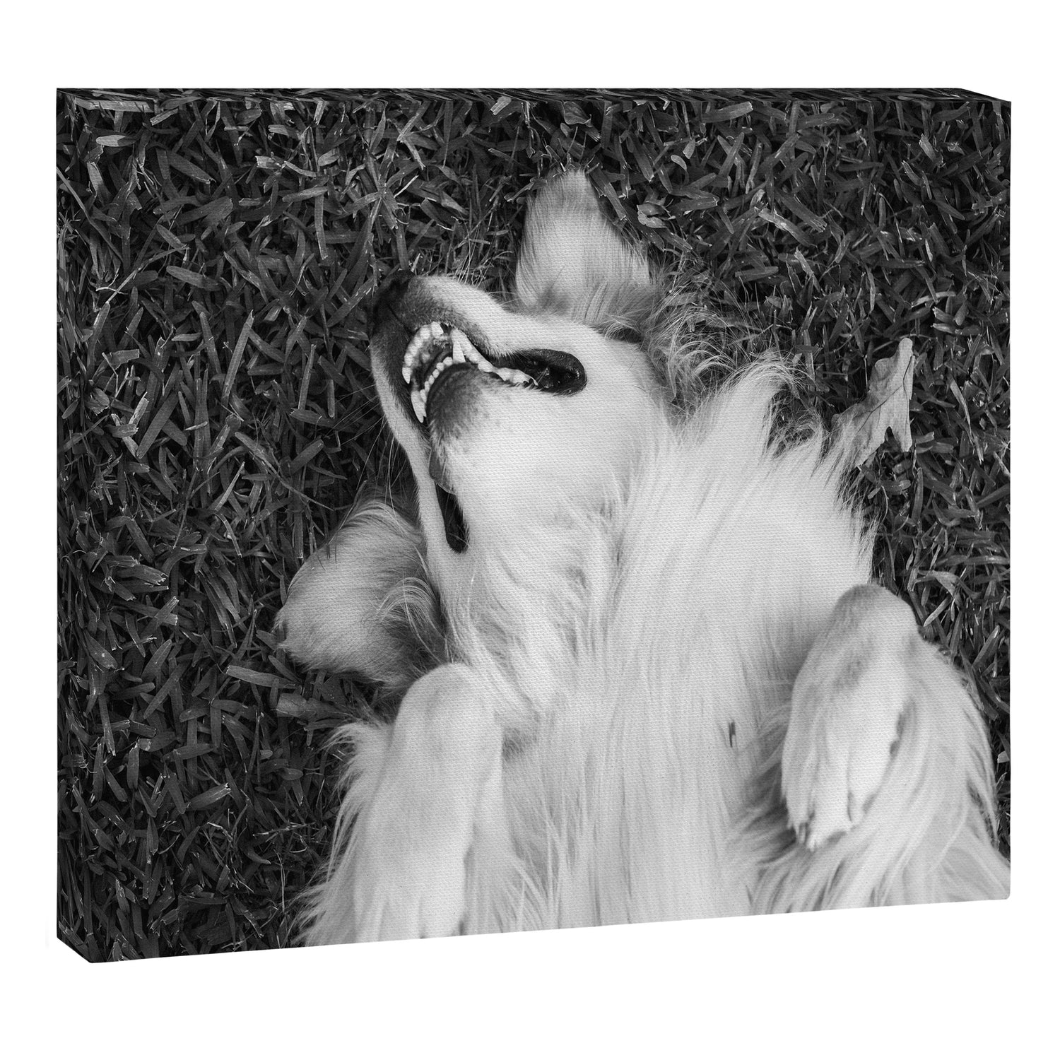 Goofy Enzo Canvas Print Gallery Image 6
