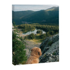 Lookout Enzo Canvas Print Gallery Image 6