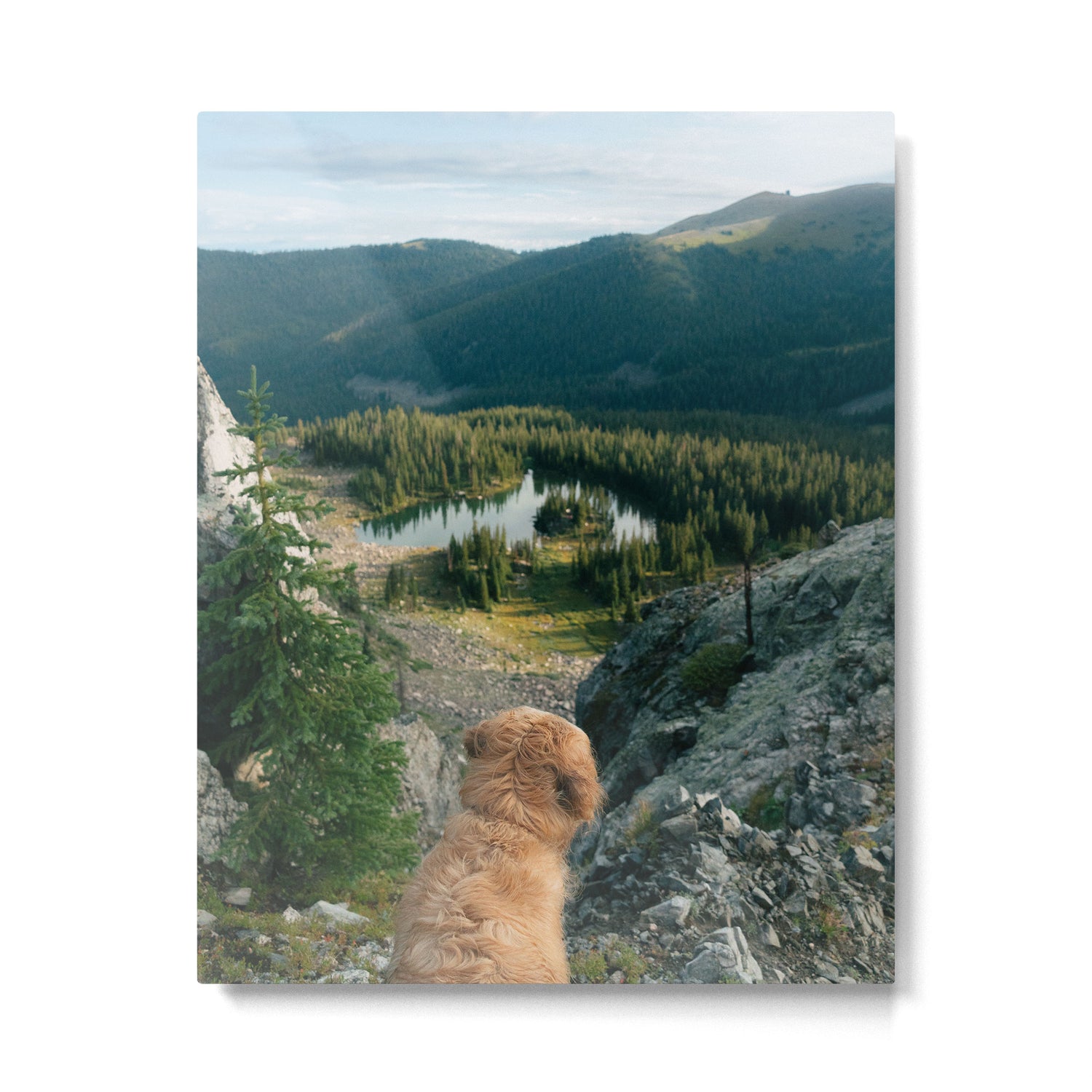 Lookout Enzo Metal Print Gallery Image 4