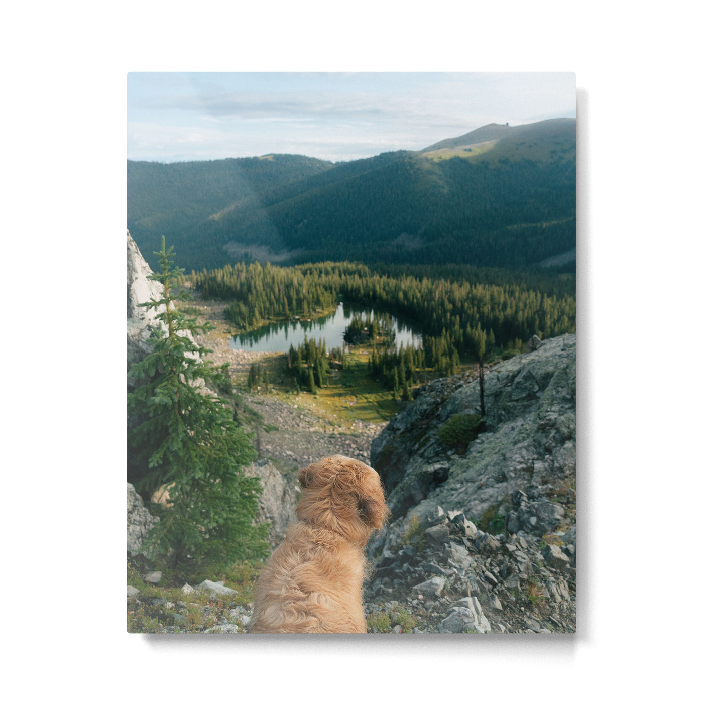 Lookout Enzo Metal Print