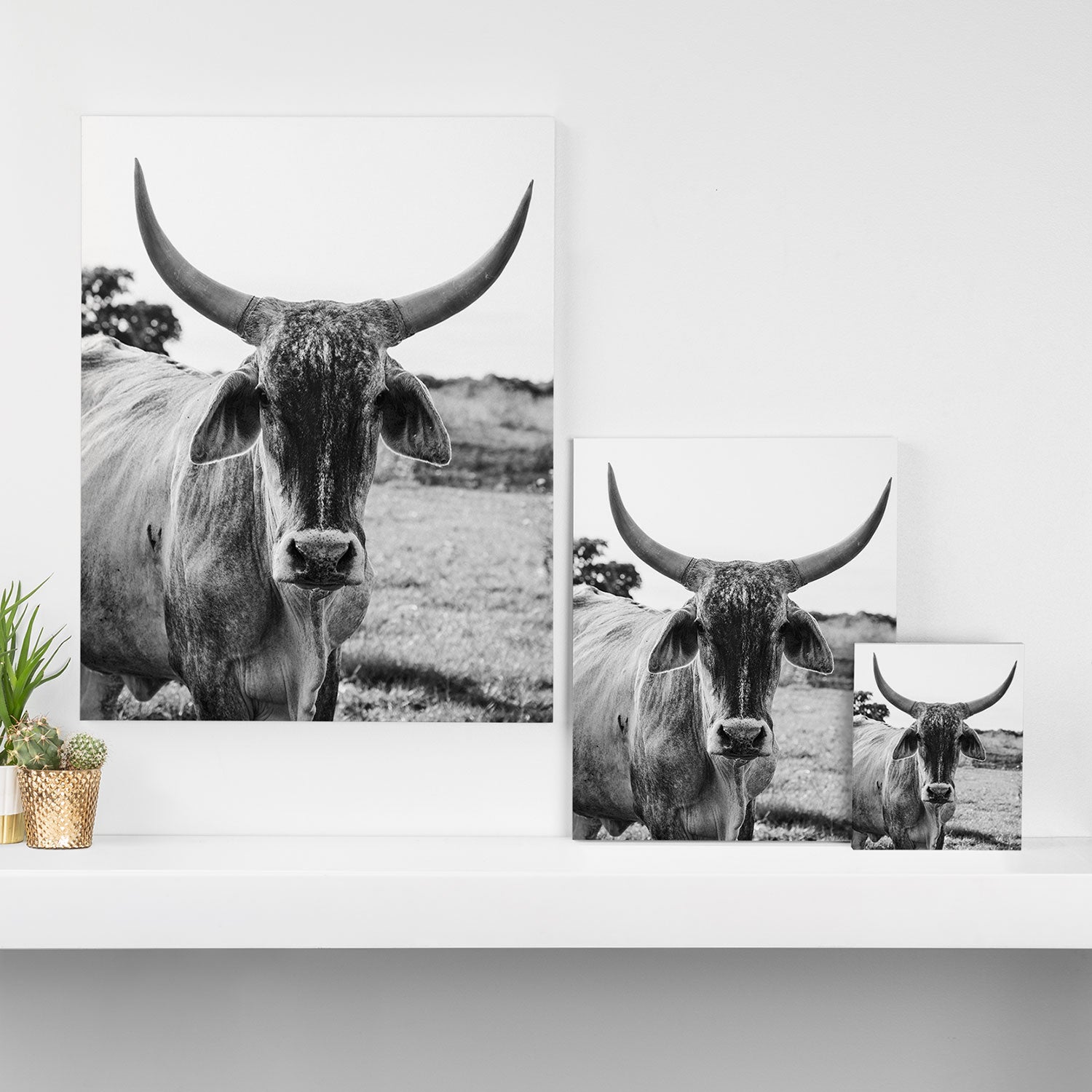 The Boss Canvas Print Gallery Image 3