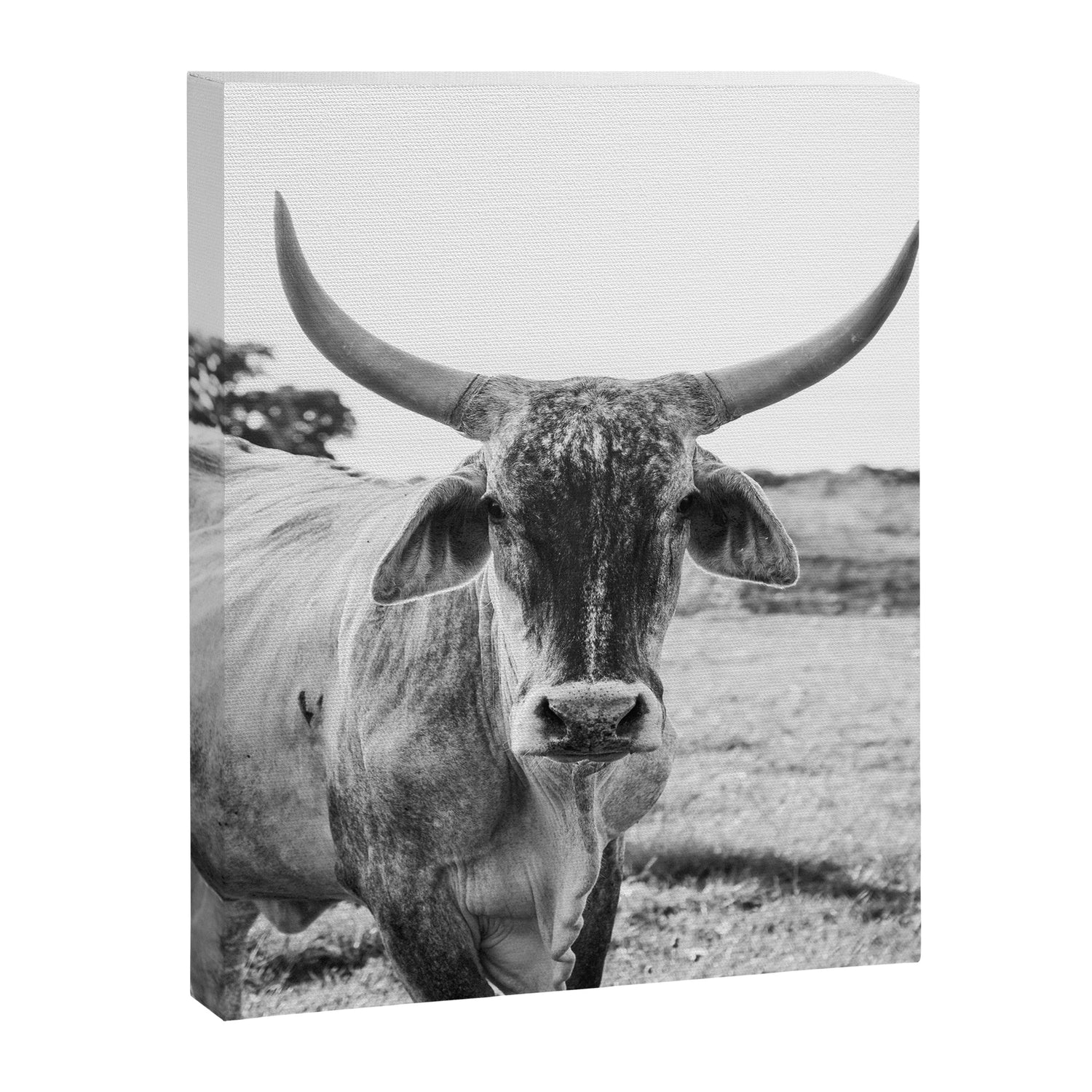 The Boss Canvas Print Gallery Image 6