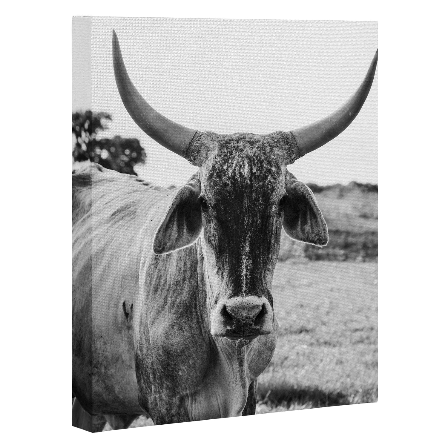 The Boss Canvas Print Gallery Image 3