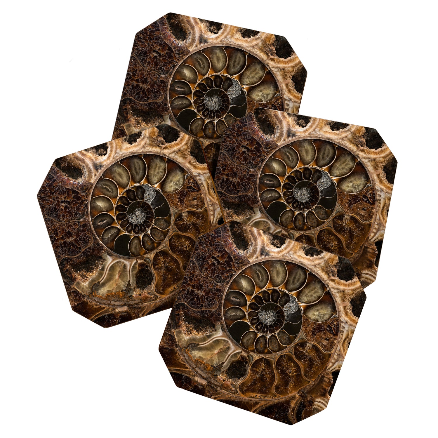 Earth treasures - Fossil in brown tones Coaster Gallery Image 1
