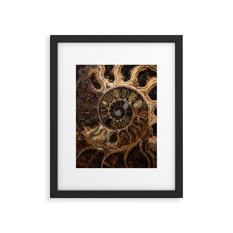 Earth treasures - Fossil in brown tones Framed Art Print Gallery Image 5