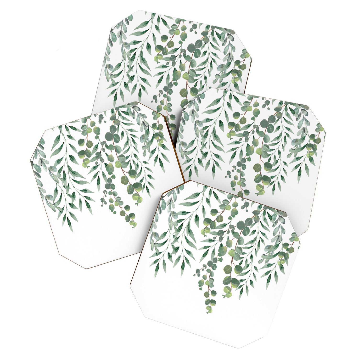 Eucalyptus Leaves  Coaster Gallery Image 1