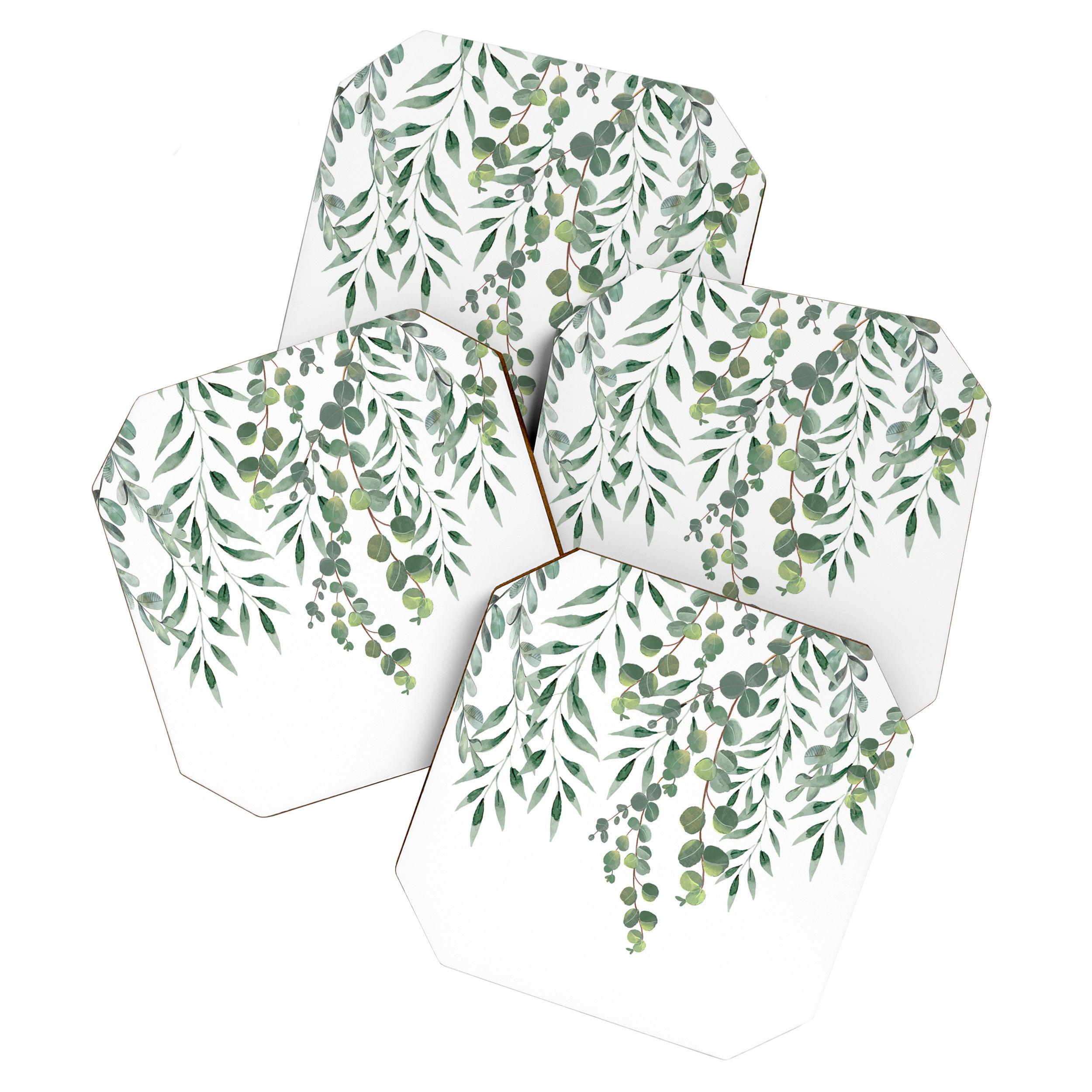 Eucalyptus Leaves  Coaster Gallery Image 1