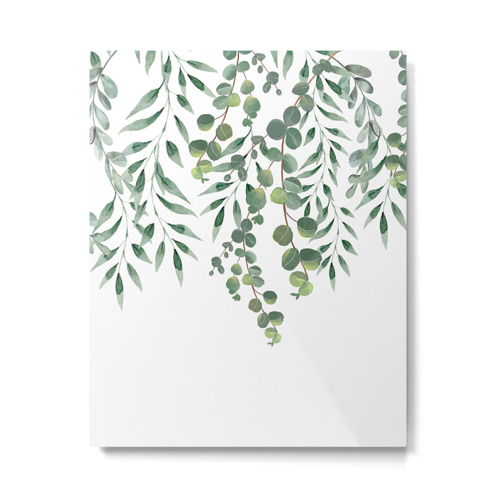 Eucalyptus Leaves  Metal Print Gallery Image 1