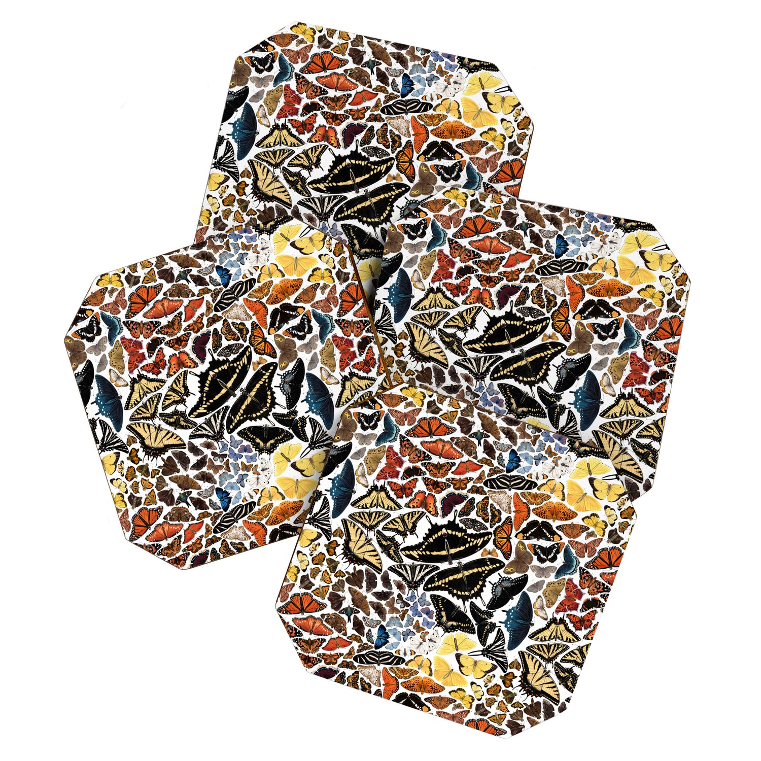 Butterflies of North America Pattern Coaster Gallery Image 1