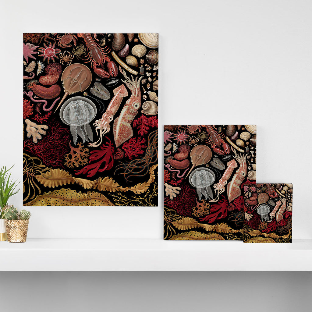 Intertidal Life of the North Atlantic (without species list) Canvas Print Gallery Image 3