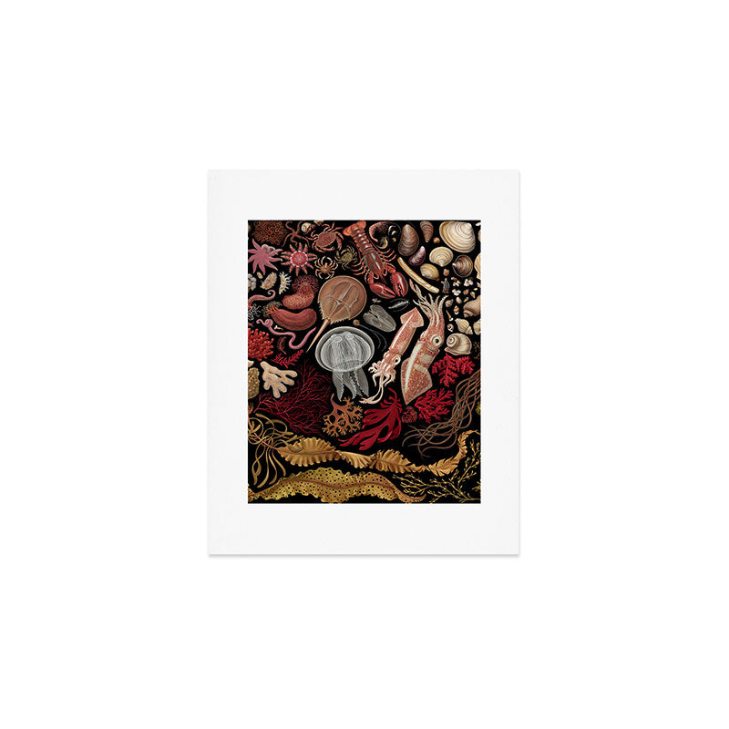 Intertidal Life of the North Atlantic (without species list) Art Print Gallery Image 1