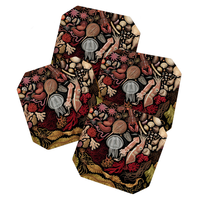 Intertidal Life of the North Atlantic (without species list) Coaster Gallery Image 1