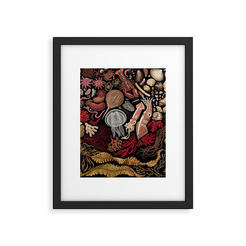 Intertidal Life of the North Atlantic (without species list) Framed Art Print Gallery Image 1