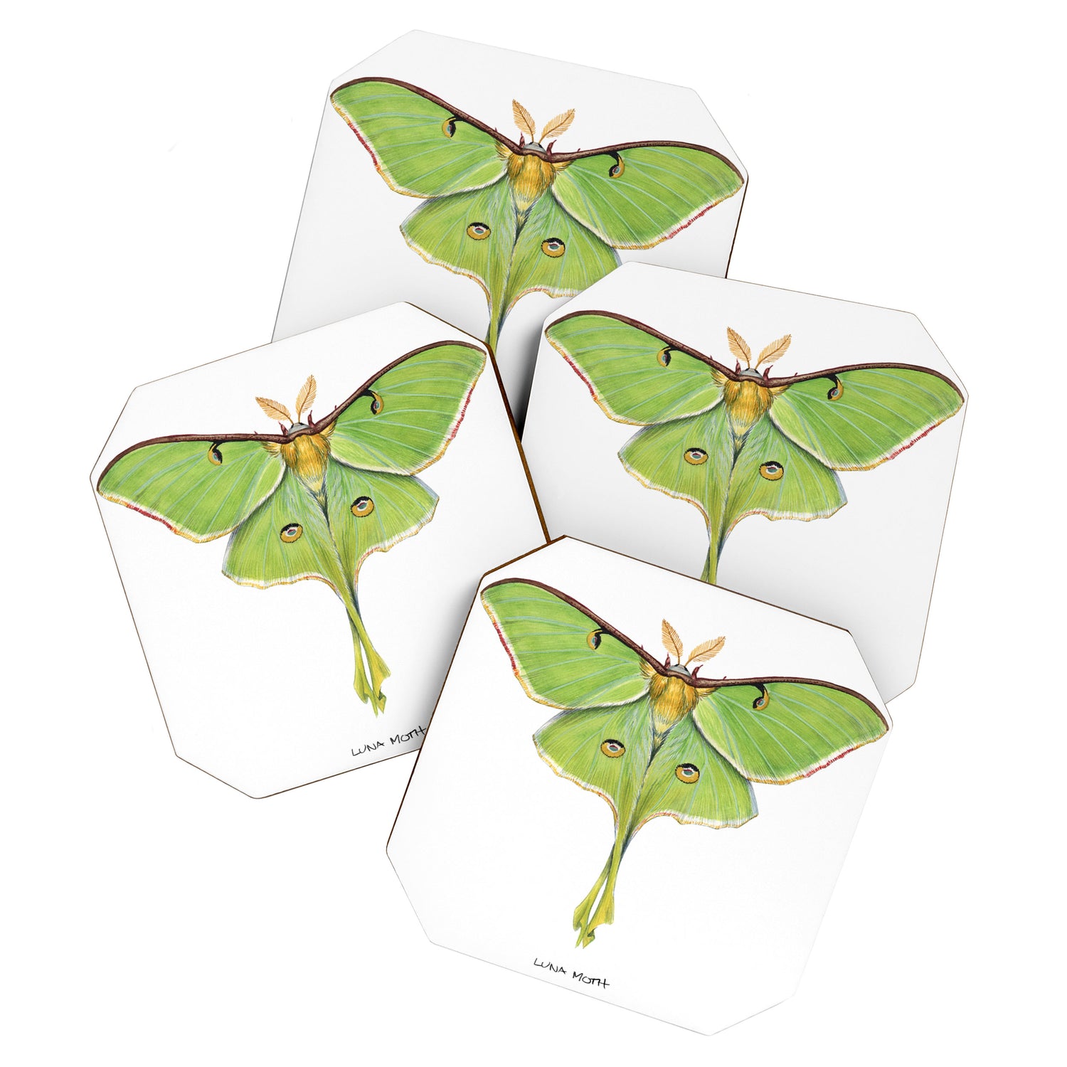 Luna Moth (Actias luna) II Coaster Gallery Image 1