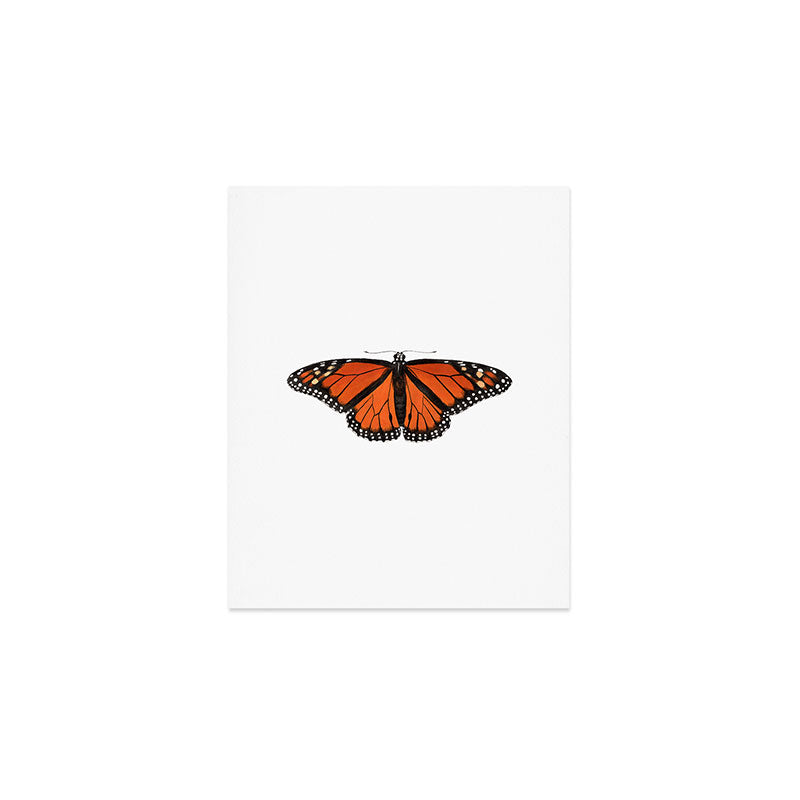 Monarch (Danaus plexippus) Art Print Gallery Image 1