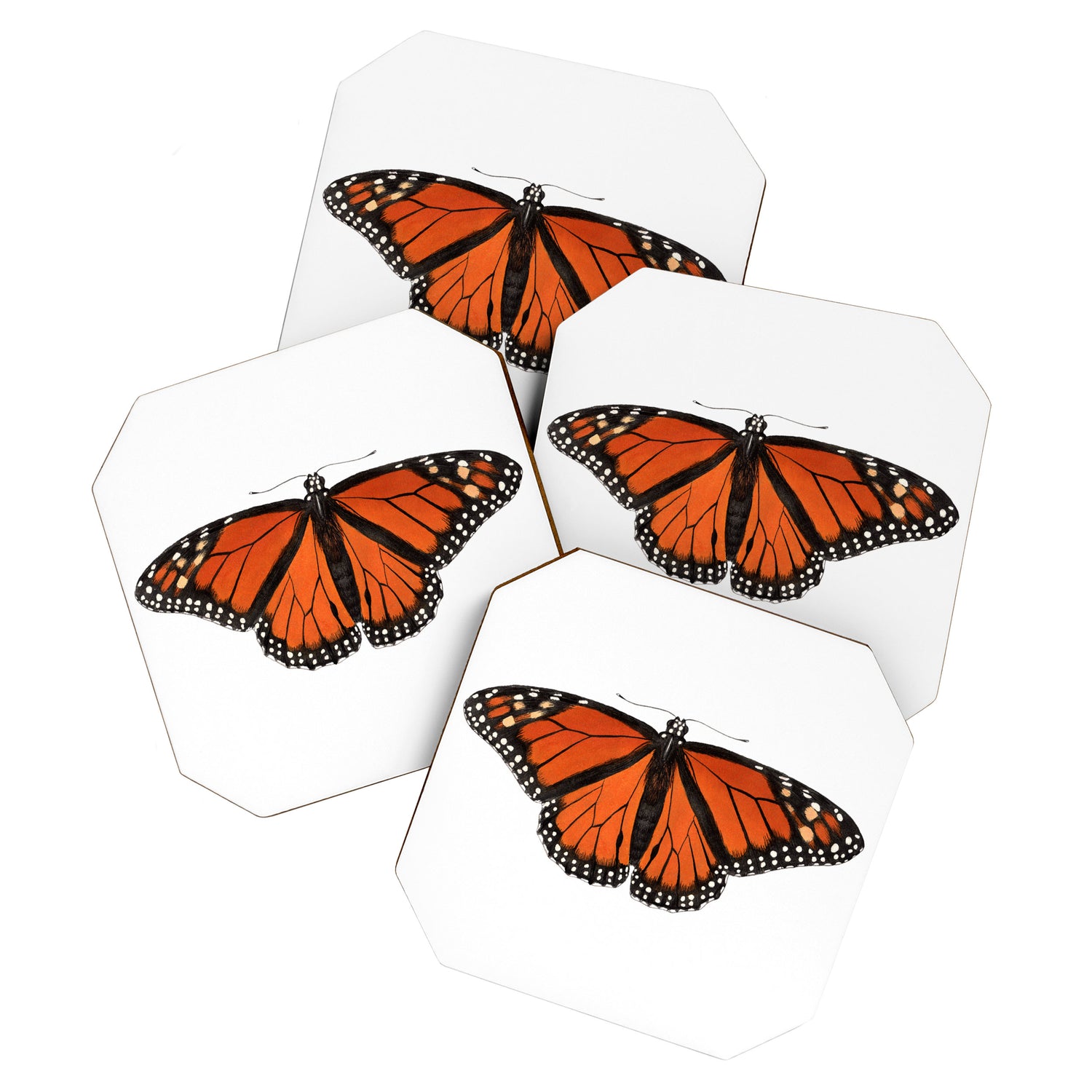 Monarch (Danaus plexippus) Coaster Gallery Image 1