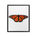 Monarch (Danaus plexippus) Framed Canvas Print Gallery Image 8