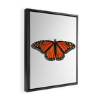 Monarch (Danaus plexippus) Framed Canvas Print Gallery Image 2