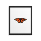 Monarch (Danaus plexippus) Framed Art Print Gallery Image 6