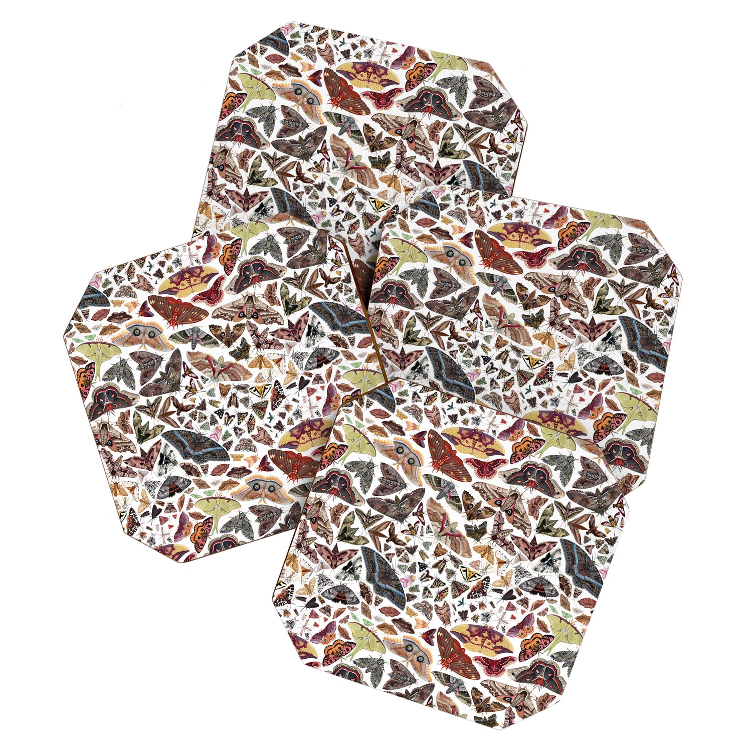 Moths of North America Pattern Coaster Gallery Image 1