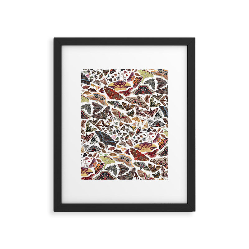 Moths of North America Pattern Framed Art Print Gallery Image 1