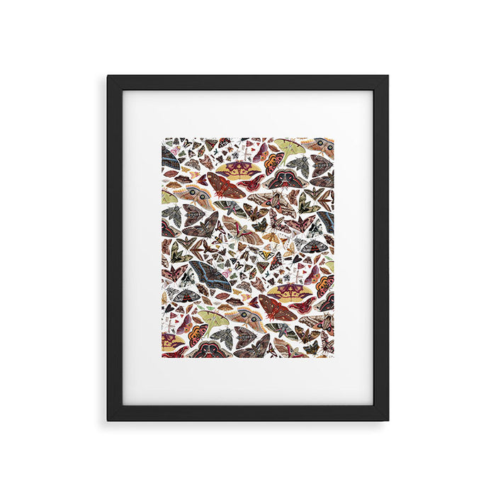 Moths of North America Pattern Framed Art Print Gallery Image 1