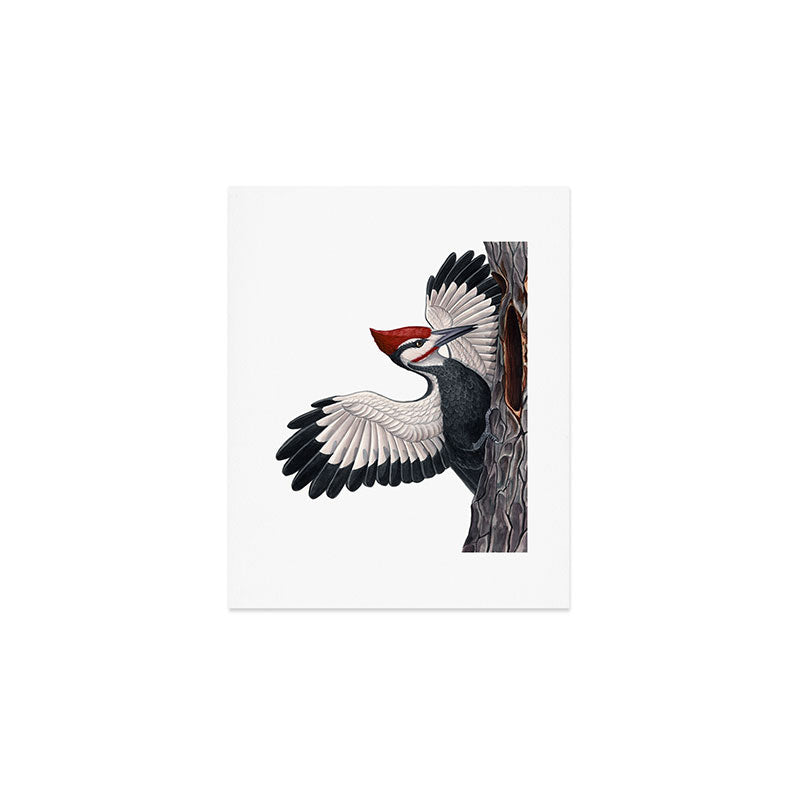 Pileated Woodpecker Art Print Gallery Image 1