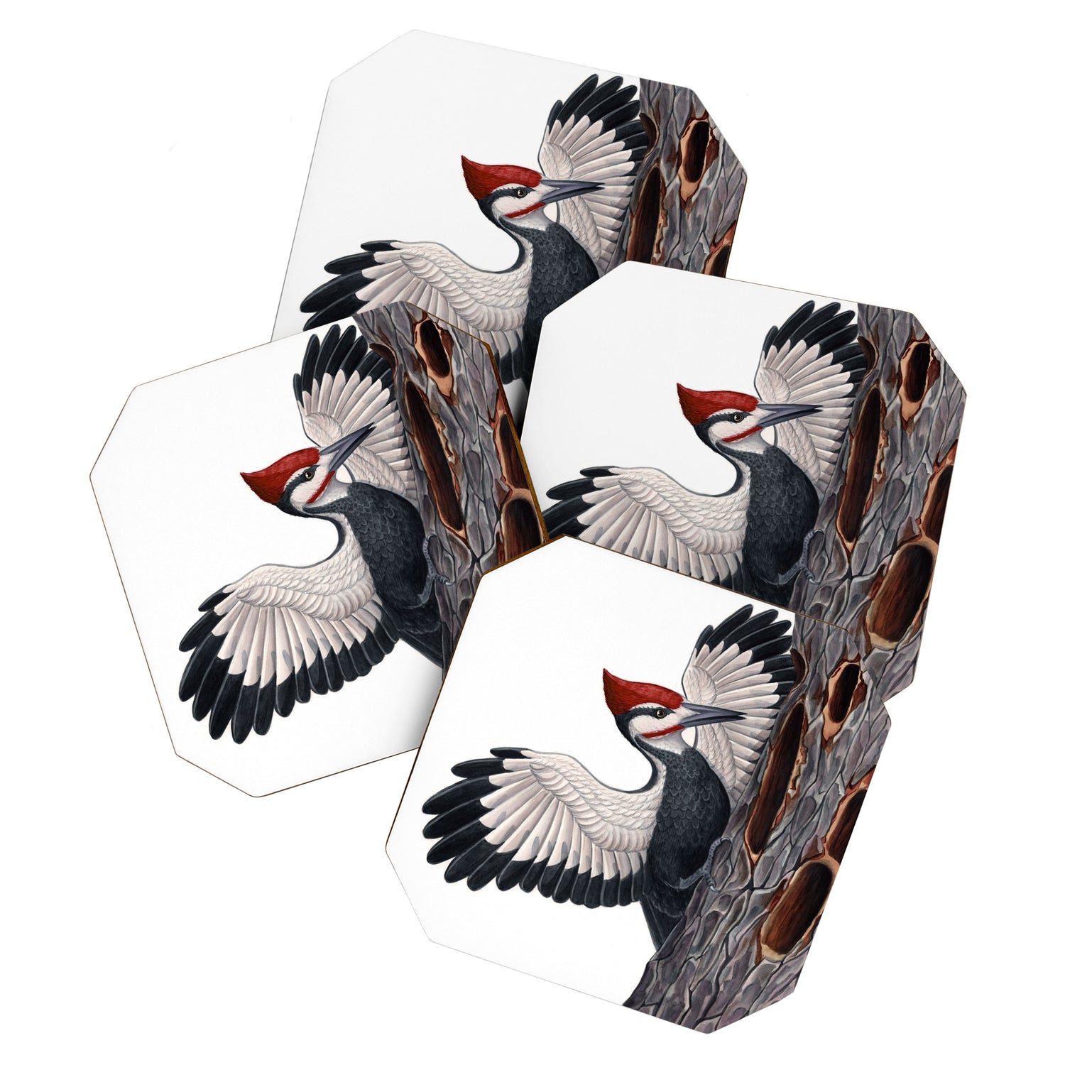 Pileated Woodpecker Coaster Gallery Image 1