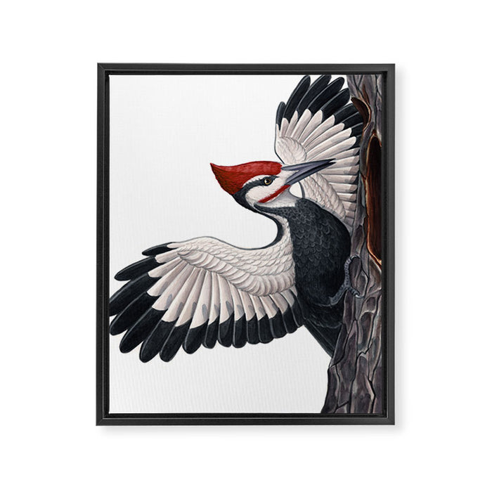 Pileated Woodpecker Framed Canvas Print Gallery Image 1