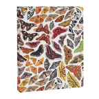Saturniid Moths of North America Pattern Canvas Print Gallery Image 8