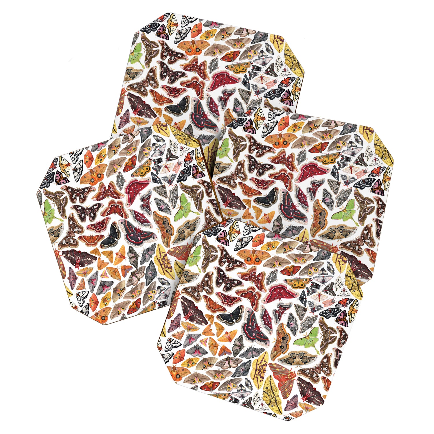 Saturniid Moths of North America Pattern Coaster Gallery Image 1